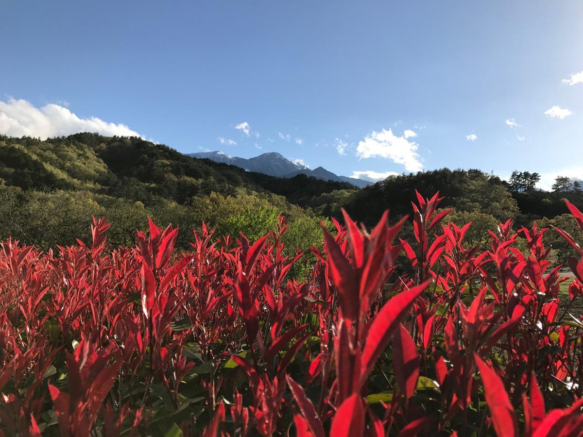 Alps Lodge & Spa Hokuto  Zewnętrze zdjęcie